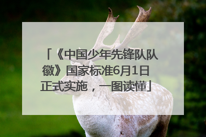 《中国少年先锋队队徽》国家标准6月1日正式实施，一图读懂