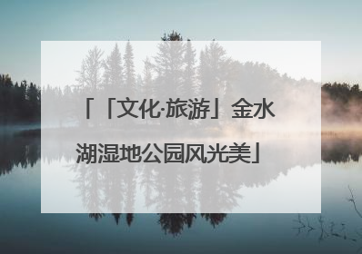 「文化·旅游」金水湖湿地公园风光美