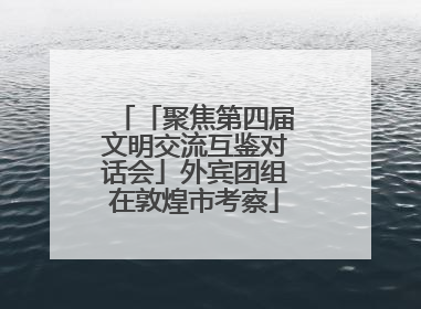「聚焦第四届文明交流互鉴对话会」外宾团组在敦煌市考察