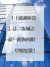「蒲湖新语」让“友城之花”跨海向阳，尽情绽放