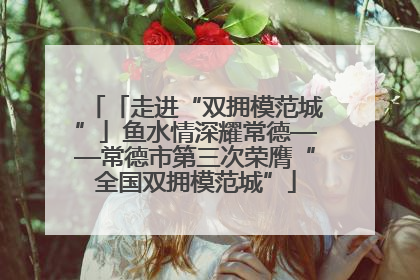 「走进“双拥模范城”」鱼水情深耀常德——常德市第三次荣膺“全国双拥模范城”