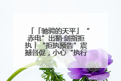 「驰骋的天平」“赤电”出鞘·剑指拒执︱“拒执预告”震撼督促，小心“执行”变“执刑”