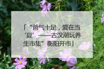 “爸气十足，爱在当‘夏’——古汉潮玩养生市集”衡阳开市