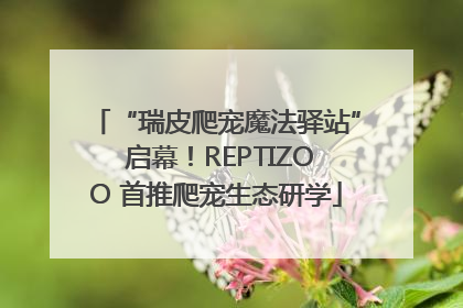 “瑞皮爬宠魔法驿站” 启幕！REPTIZOO 首推爬宠生态研学
