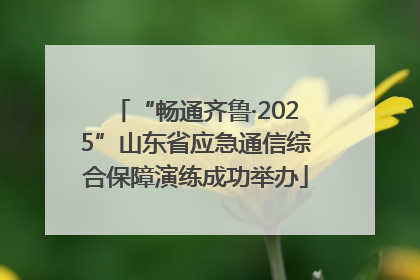“畅通齐鲁·2025”山东省应急通信综合保障演练成功举办