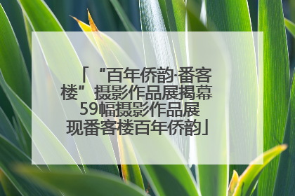 “百年侨韵·番客楼”摄影作品展揭幕 59幅摄影作品展现番客楼百年侨韵