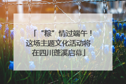 “粽”情过端午！这场主题文化活动将在四川蓬溪启幕
