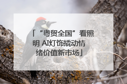 “粤贸全国”看照明 AI灯饰撬动情绪价值新市场