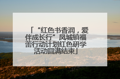 “红色书香润，爱伴成长行”凤城镇福蕾行动计划红色研学活动圆满结束