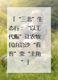 “三北”生态行：“以工代赈”让农牧民由治沙“看客”变“主角”