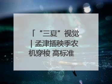 “三夏”视觉｜孟津插秧季农机穿梭 高标准农田披绿装