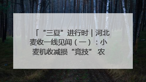 “三夏”进行时｜河北麦收一线见闻（一）：小麦机收减损“竞技” 农机高手麦田“过招”