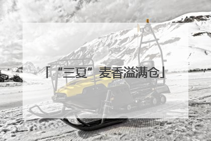 “三夏”麦香溢满仓
