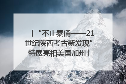 “不止秦俑——21世纪陕西考古新发现”特展亮相美国加州