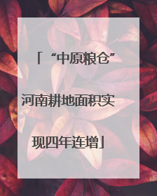 “中原粮仓”河南耕地面积实现四年连增