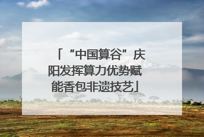 “中国算谷”庆阳发挥算力优势赋能香包非遗技艺