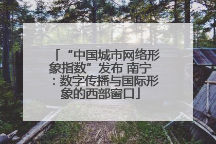 “中国城市网络形象指数”发布 南宁：数字传播与国际形象的西部窗口