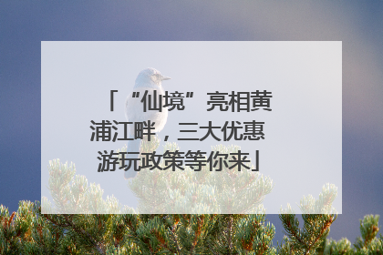 “仙境”亮相黄浦江畔，三大优惠游玩政策等你来