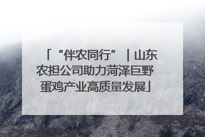 “伴农同行”｜山东农担公司助力菏泽巨野蛋鸡产业高质量发展