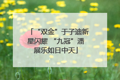“双金”于子迪新星闪耀 “九冠”潘展乐如日中天