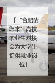 “合肥请您来”高校毕业生对接会为大学生提供就业岗位