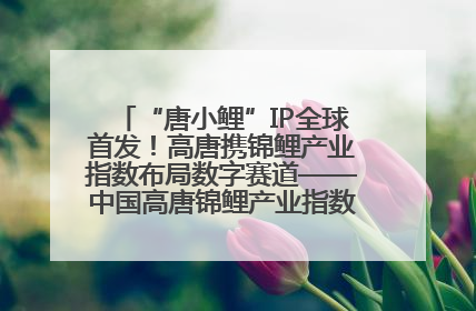 “唐小鲤”IP全球首发！高唐携锦鲤产业指数布局数字赛道——中国高唐锦鲤产业指数暨“唐小鲤”IP全球首发仪式在杭州举行