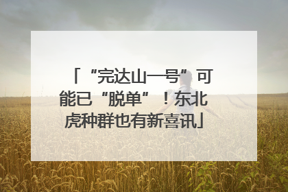 “完达山一号”可能已“脱单”！东北虎种群也有新喜讯
