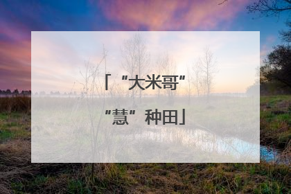 “大米哥”“慧”种田