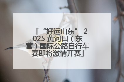 “好运山东” 2025 黄河口（东营）国际公路自行车赛即将激情开赛