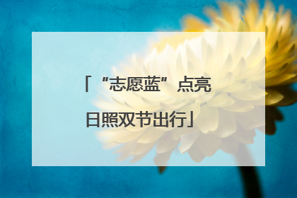 “志愿蓝”点亮日照双节出行