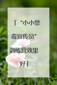 “小小禁毒宣传员”训练营效果好