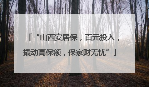 “山西安居保，百元投入，撬动高保额，保家财无忧”