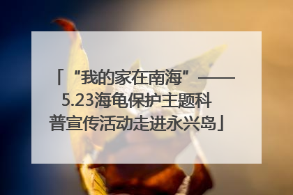 “我的家在南海”——5.23海龟保护主题科普宣传活动走进永兴岛