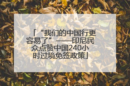 “我们的中国行更容易了”——印尼民众点赞中国240小时过境免签政策