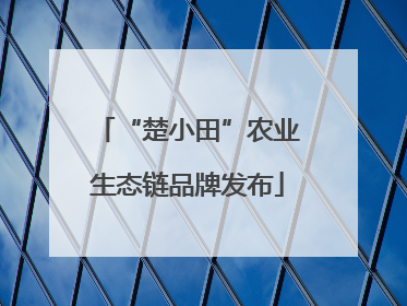 “楚小田”农业生态链品牌发布