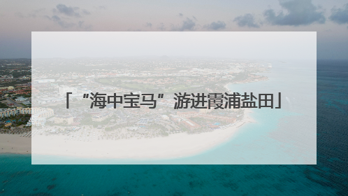 “海中宝马”游进霞浦盐田