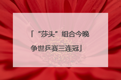 “莎头”组合今晚争世乒赛三连冠