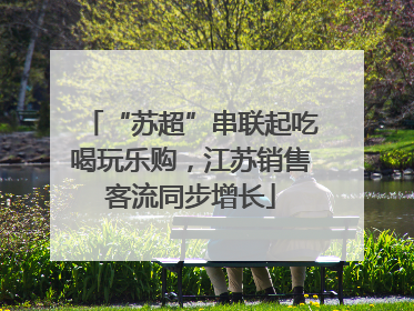 “苏超”串联起吃喝玩乐购，江苏销售客流同步增长