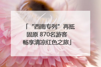 “西南专列”再抵固原 870名游客畅享清凉红色之旅