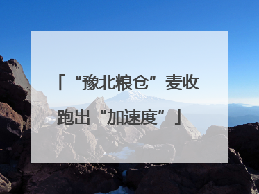 “豫北粮仓”麦收跑出“加速度”
