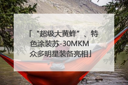 “超级大黄蜂”、特色涂装苏-30MKM 众多明星装备亮相