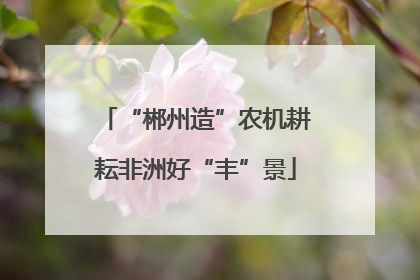 “郴州造”农机耕耘非洲好“丰”景