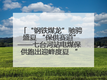“钢铁煤龙”驰骋盛夏 “保供赛道”——七台河站电煤保供跑出迎峰度夏 “加速度”