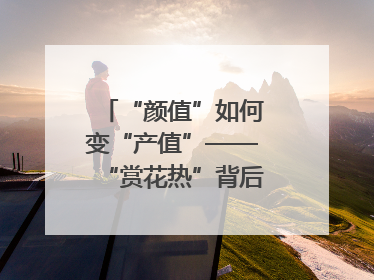 “颜值”如何变“产值”——“赏花热”背后的产业图谱