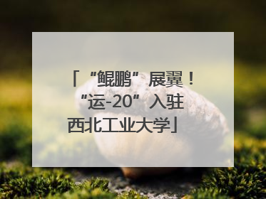 “鲲鹏”展翼！“运-20”入驻西北工业大学