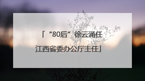 “80后”徐云涌任江西省委办公厅主任