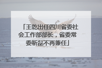 王乾出任四川省委社会工作部部长，省委常委靳磊不再兼任