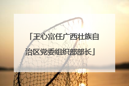 王心富任广西壮族自治区党委组织部部长