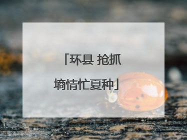 环县 抢抓墒情忙夏种