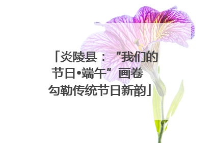 炎陵县：“我们的节日•端午”画卷 勾勒传统节日新韵